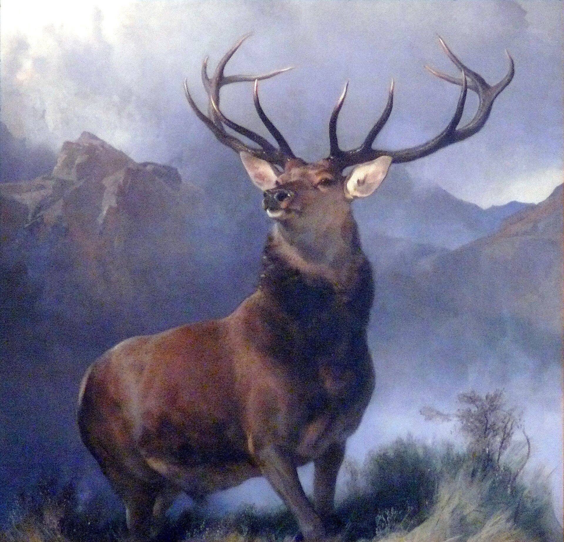 Edwin Landseer's 1851 painting 'The Monarch of the Glen': a red-deer stag against misty Highland mountains.